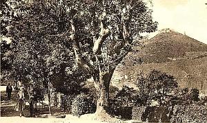 PL b - 058- Promenade de Letang B